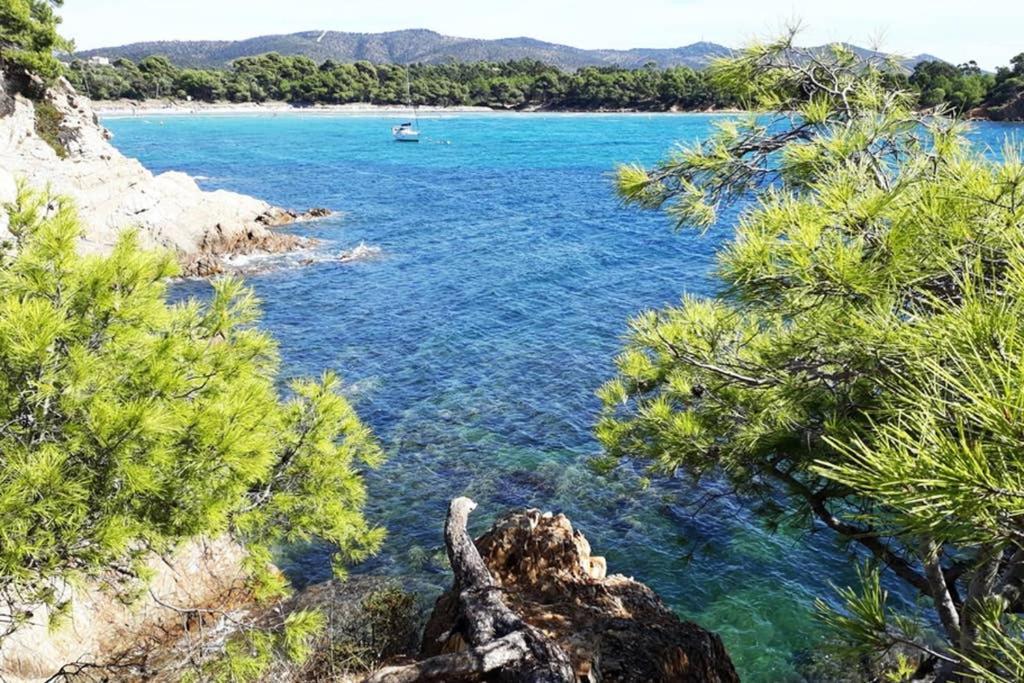 T2 Clim Parking, Entre Nature Et Plage Hyères Zewnętrze zdjęcie